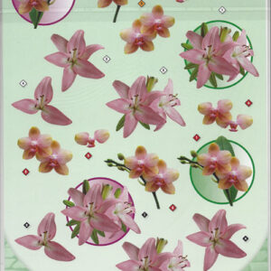 cardeco 3d vel  cd10019