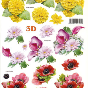 lesuh 3d vel 777220
