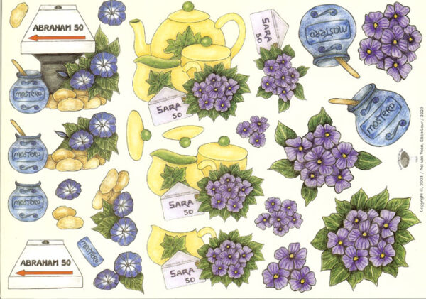 nel van veen 2220