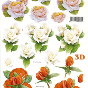 lesuh 3d vel 777222