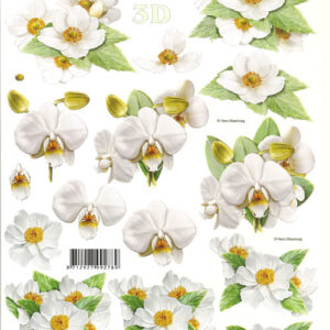 lesuh 3d vel 777224