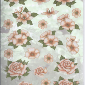 nel van veen 3d vel 2343