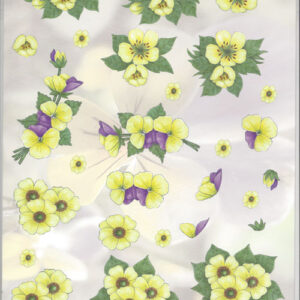 nel van veen 2348
