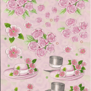anne design 2508