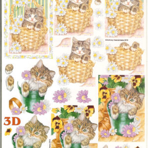 lesuh 3d vel 777255