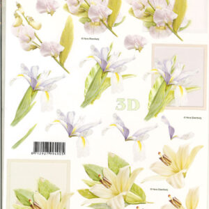leshu 3d vel 777.278