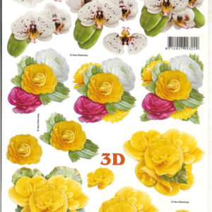leshu 3d vel 777296
