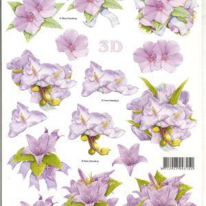 leshu 3d vel 777297