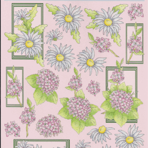 leacrea 3d vel 50.3683