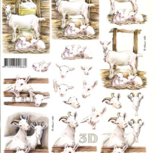 lesuh 3d vel 8215401