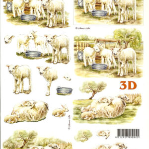 lesuh 3d vel 8215405