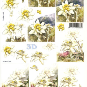 lesuh 3d vel 8215423