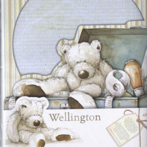 wellinton A4 card kit wel150500