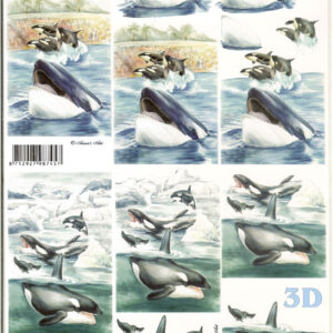 leshu 3d vel 8215.539