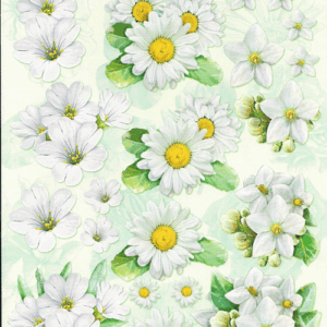 foliart 3d 551