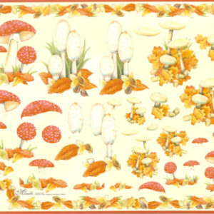 mireille 3d vel e757
