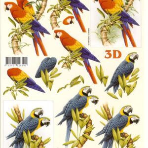 lesuh 3d vel 4169802