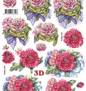 leshu 3d vel 8215.707
