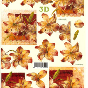 lesuh 3d vel 4169829