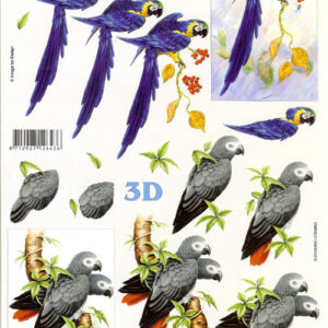 lesuh 3d vel 4169896