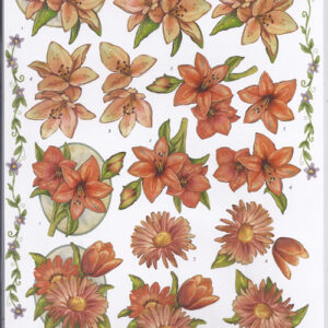 cardeco 3d vel hj9501