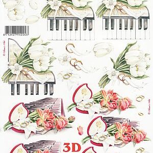 leshu 3d vel 8215661