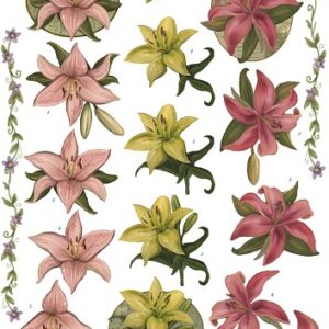 amy design 3d vel cd10465