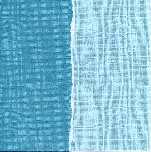 color cardstockbleu moss tw020