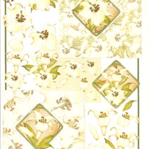 marianne 3d vel eg5256