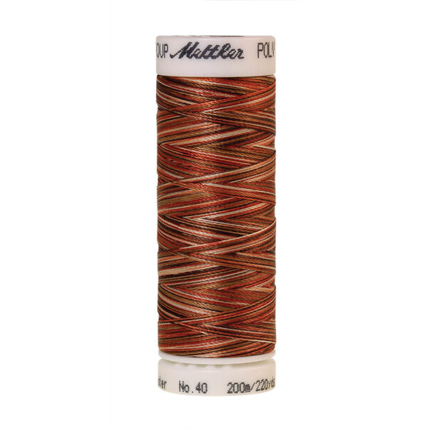 mettler poly sheen multi 9302