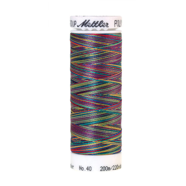 mettler poly sheen multi 9916