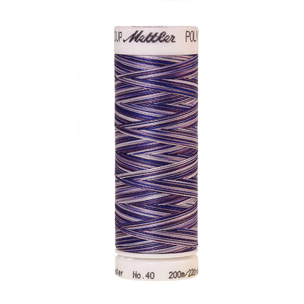 mettler poly sheen multi 9921