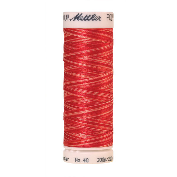 mettler poly sheen multi 9924
