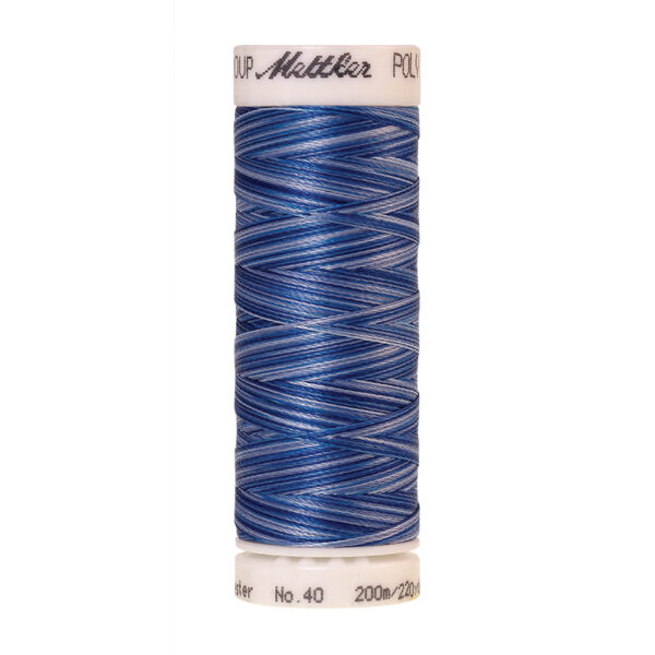 mettler poly sheen multi 9929