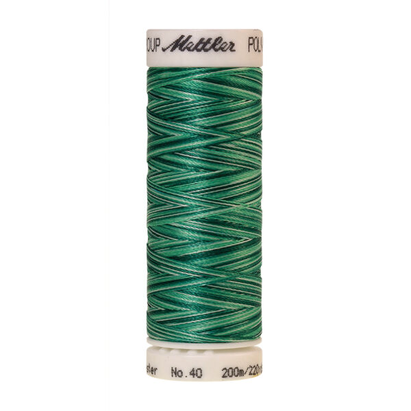mettler poly sheen multi 9931
