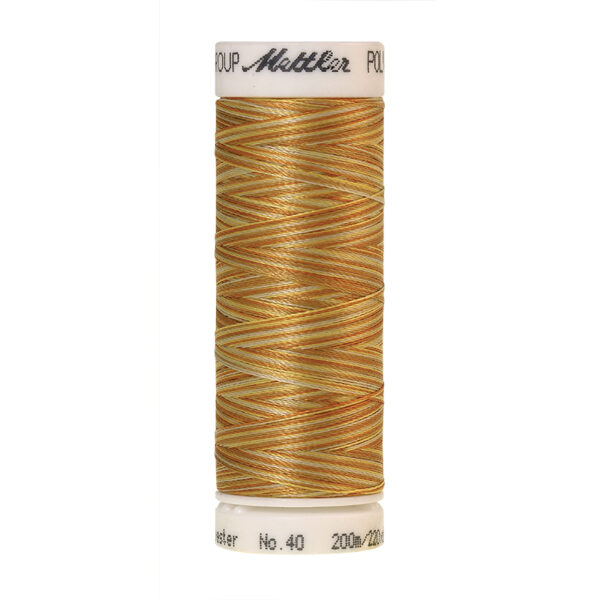 mettler poly sheen multi 9933