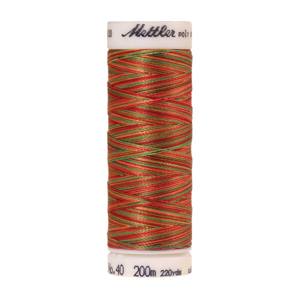 mettler poly sheen multi 9939