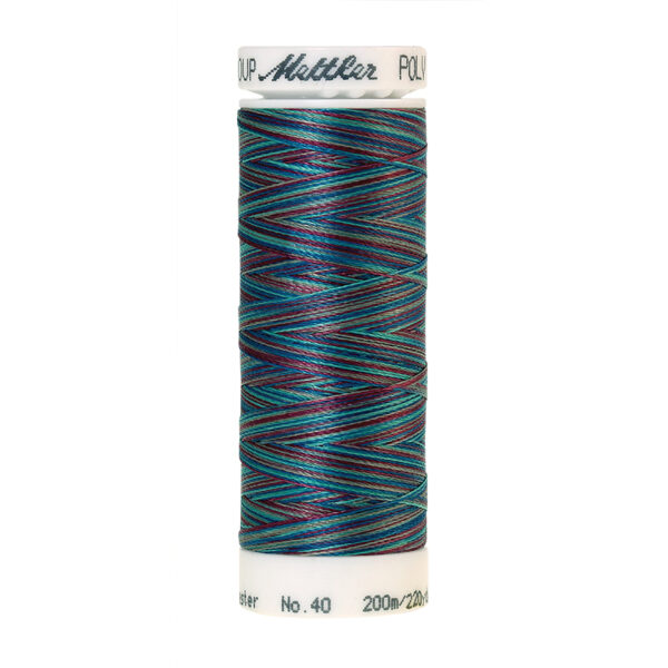 mettler poly sheen multi 9970