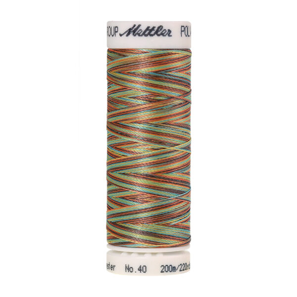 mettler poly sheen multi 9974
