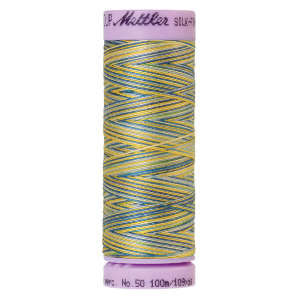 mettler silk finish multi 9829