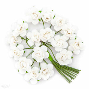 DP Craft bloemen CEKP-011 Pure White