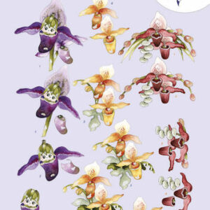 3D Knipvel - Precious Marieke - Orchideeën CD10830