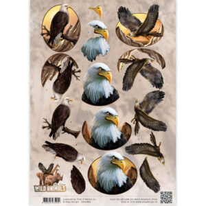 3D Knipvel - Amy Design - Wild Animals - Eagles Amy Design CD10867