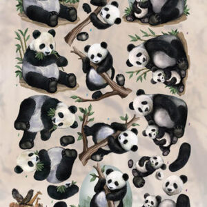 3D Knipvel - Amy Design - Wild Animals - Pandas cd10917