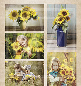 Nellie Snellen Vintage decoupage sheets sunflowers Nevi 079