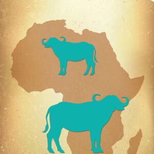 Vintasia Die - Big-Five serie Cape Buffalo VIND029