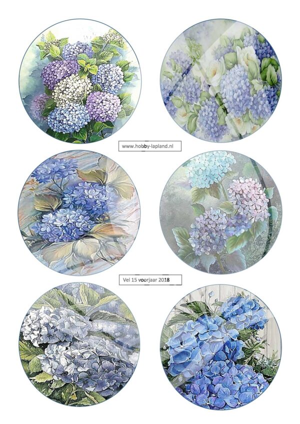 lapland jellie design nr015