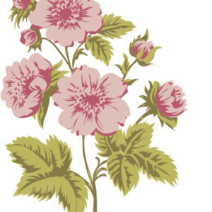 Layered stamps roses branch LCS009