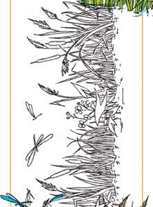 Clear Stamp border pond HT 1616