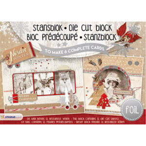 Stansblokken A5 Nordic Winter with foil nr.09 A5STANSBLOKSL09